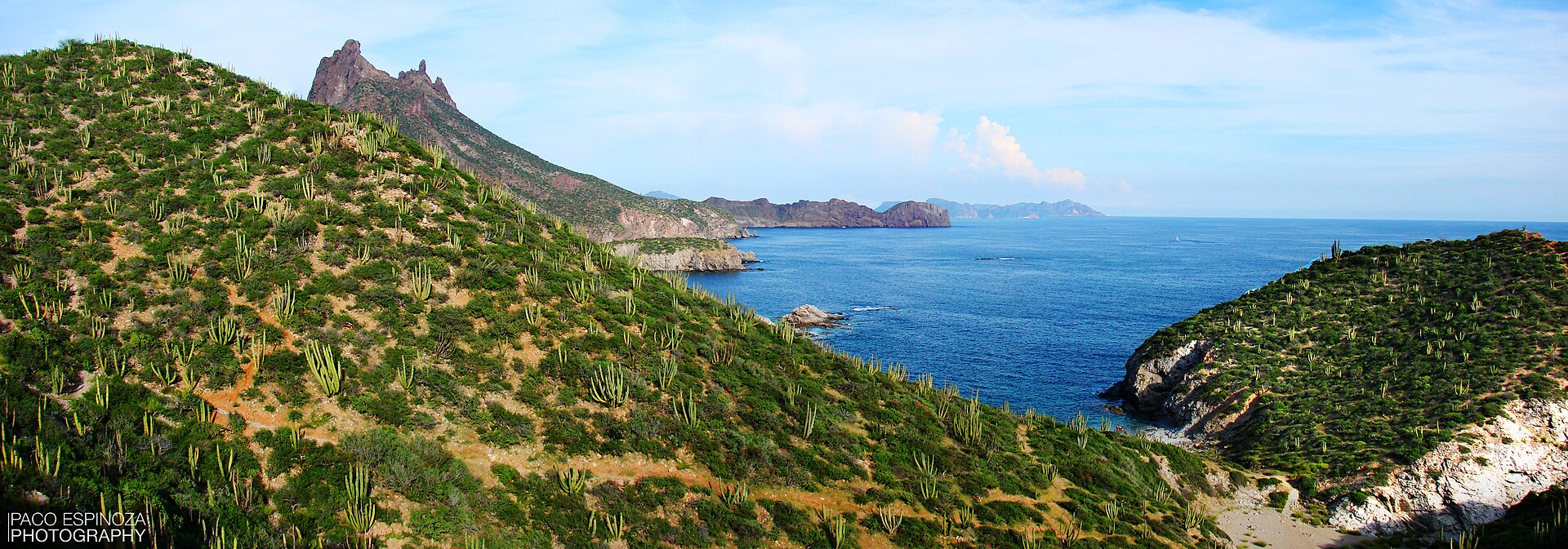 Panoramic view of San Carlos, Sonora, the practical base for Los Algodones Beach